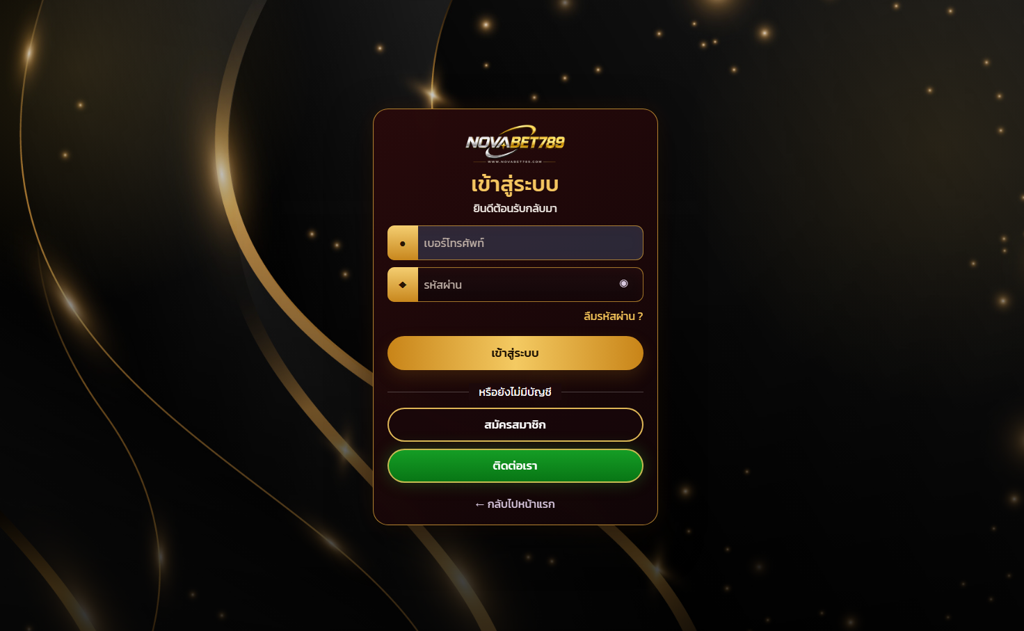ตัวอย่าง Responsive Website